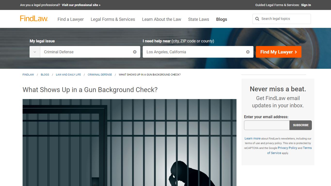 What Shows Up in a Gun Background Check? - FindLaw